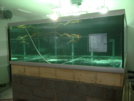 Projekt flodbank 5500L Djurens värld Nättraby